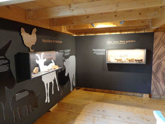 Blick in die Ausstellung: Landwirtschaft in Noricum - Römermuseum Altheim