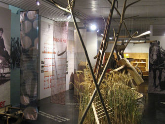 Blick in die Dauerausstellung des Bauernmuseums Mondseeland
